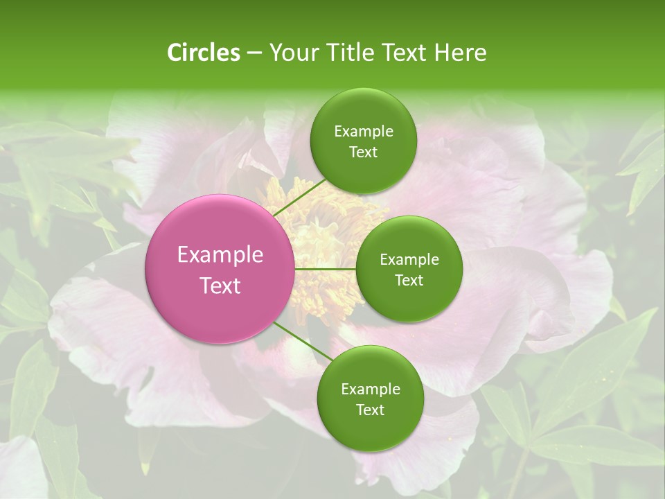 Colorful Blooming Pink PowerPoint Template