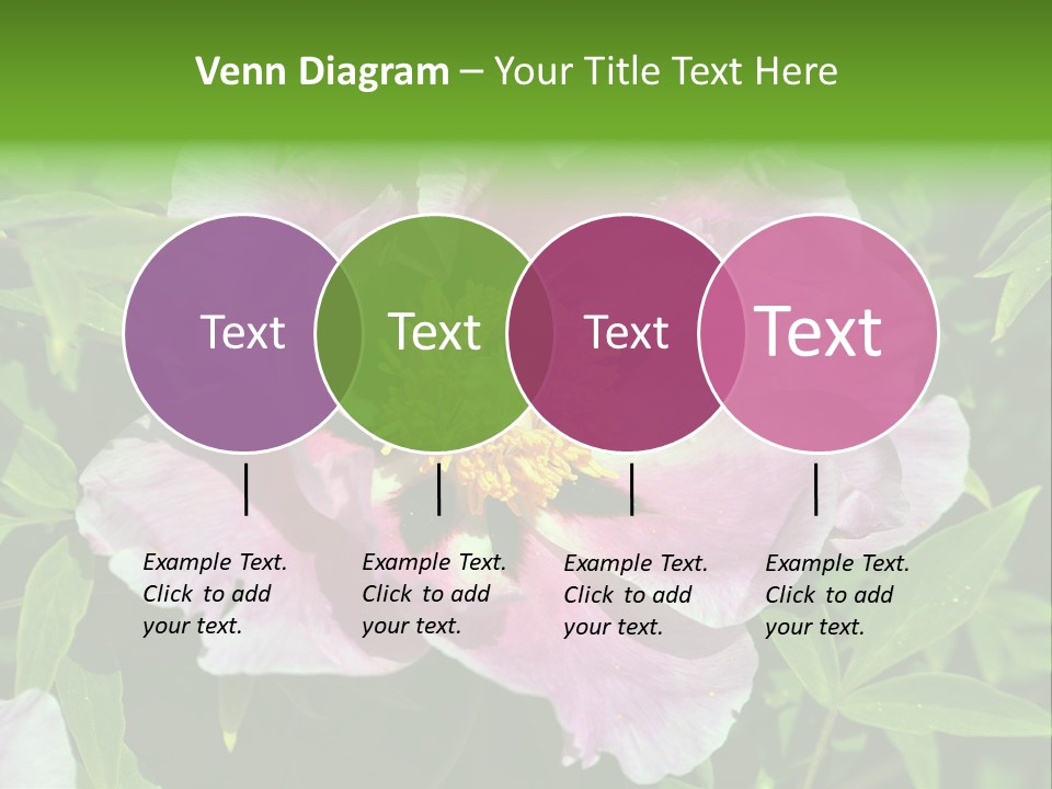 Colorful Blooming Pink PowerPoint Template