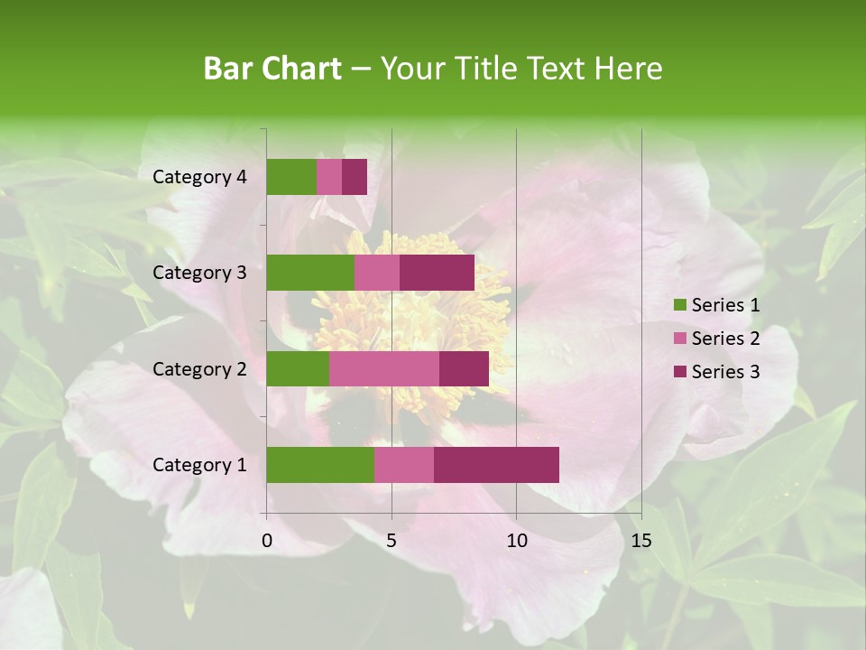 Colorful Blooming Pink PowerPoint Template