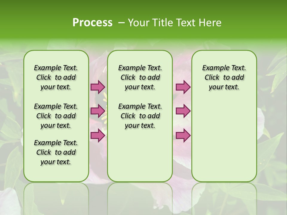 Colorful Blooming Pink PowerPoint Template