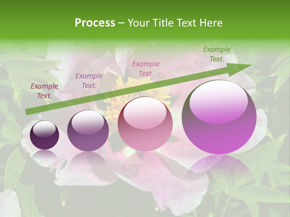 Colorful Blooming Pink PowerPoint Template