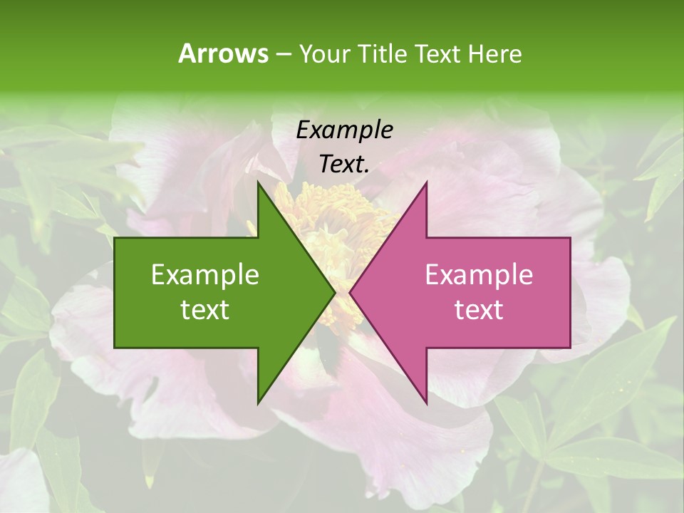 Colorful Blooming Pink PowerPoint Template