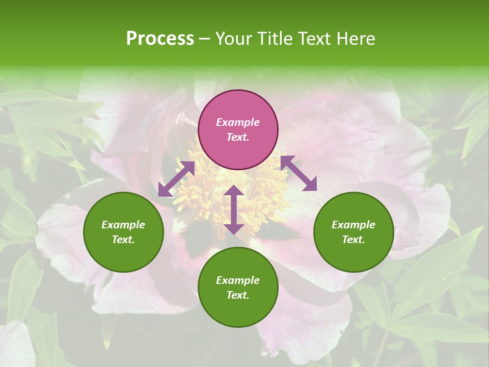 Colorful Blooming Pink PowerPoint Template