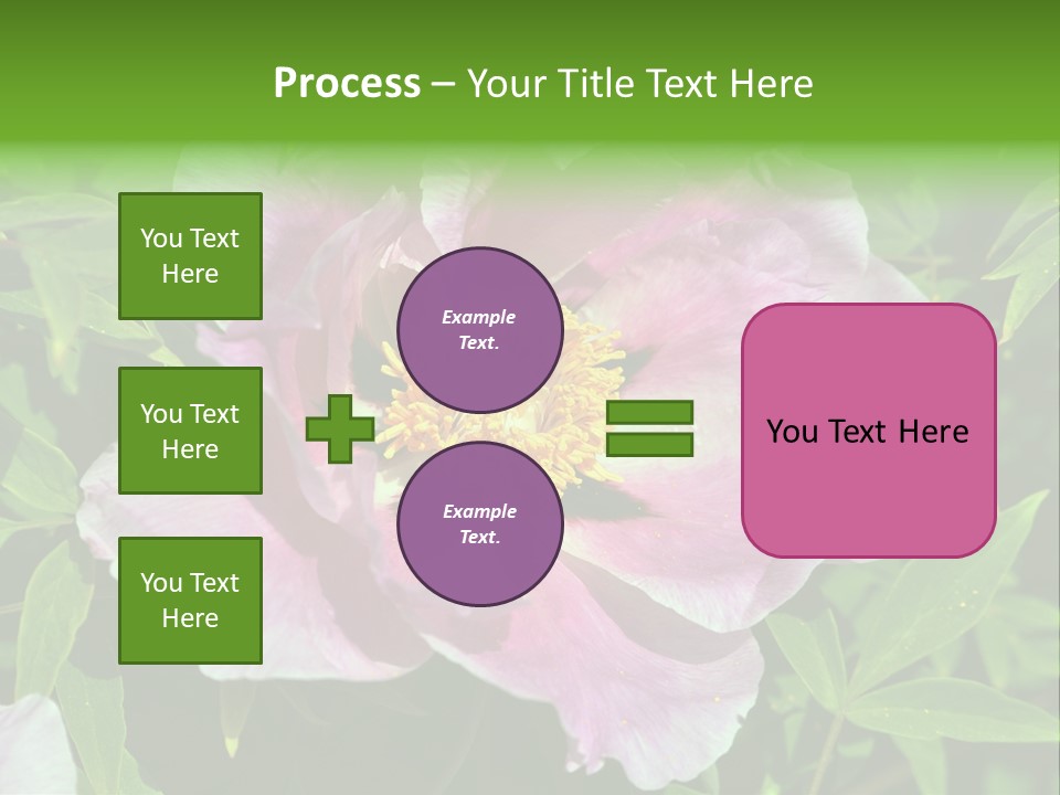Colorful Blooming Pink PowerPoint Template