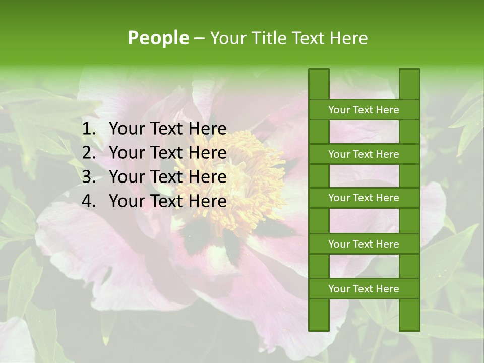 Colorful Blooming Pink PowerPoint Template