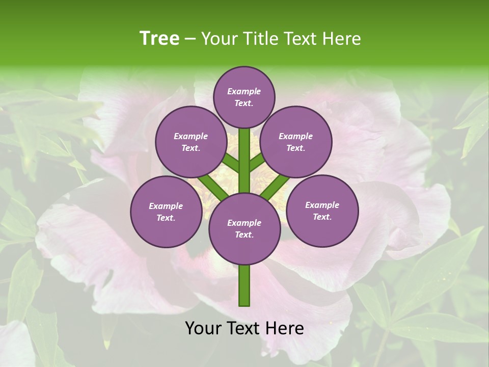 Colorful Blooming Pink PowerPoint Template