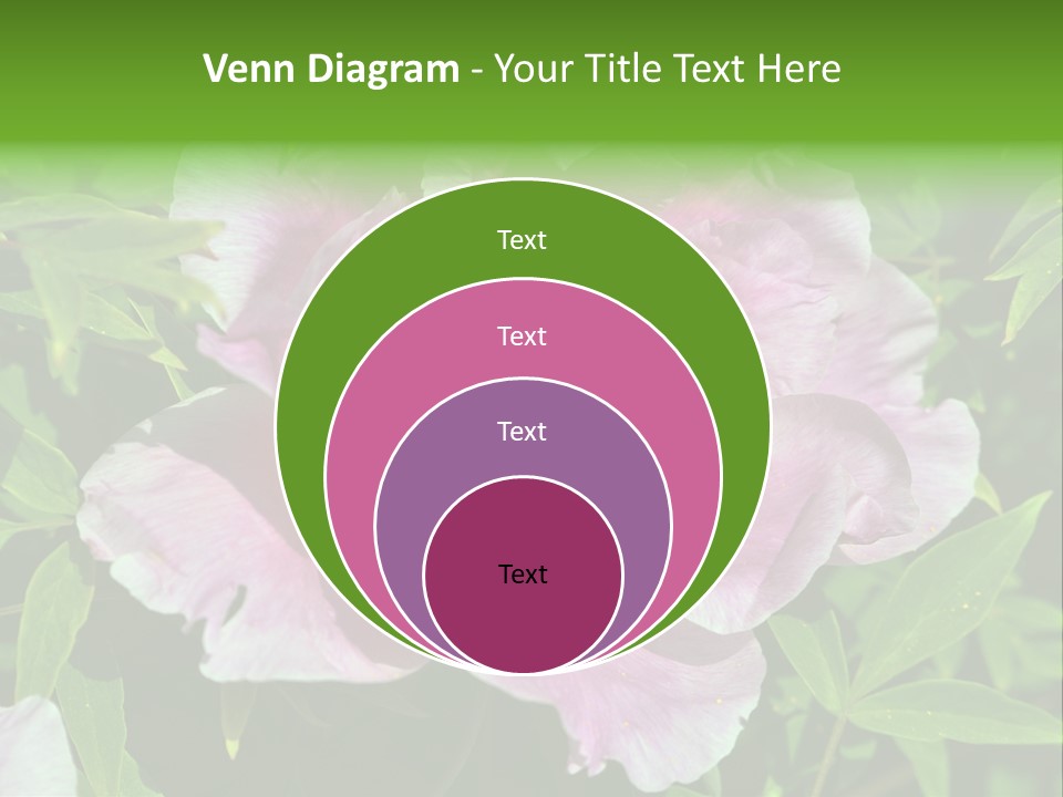 Colorful Blooming Pink PowerPoint Template