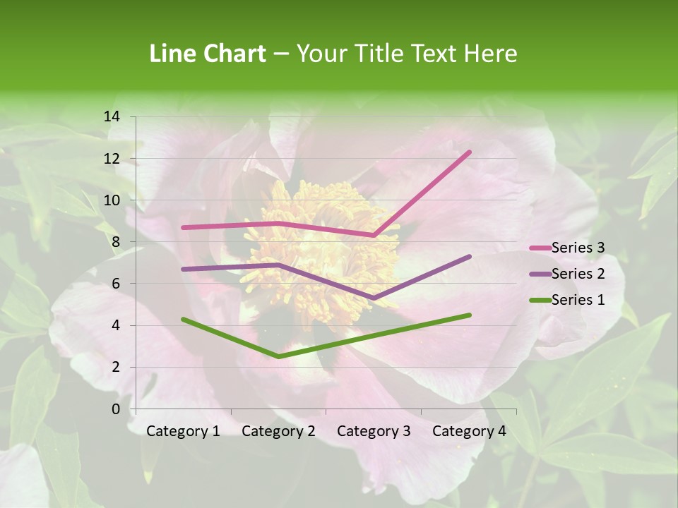 Colorful Blooming Pink PowerPoint Template