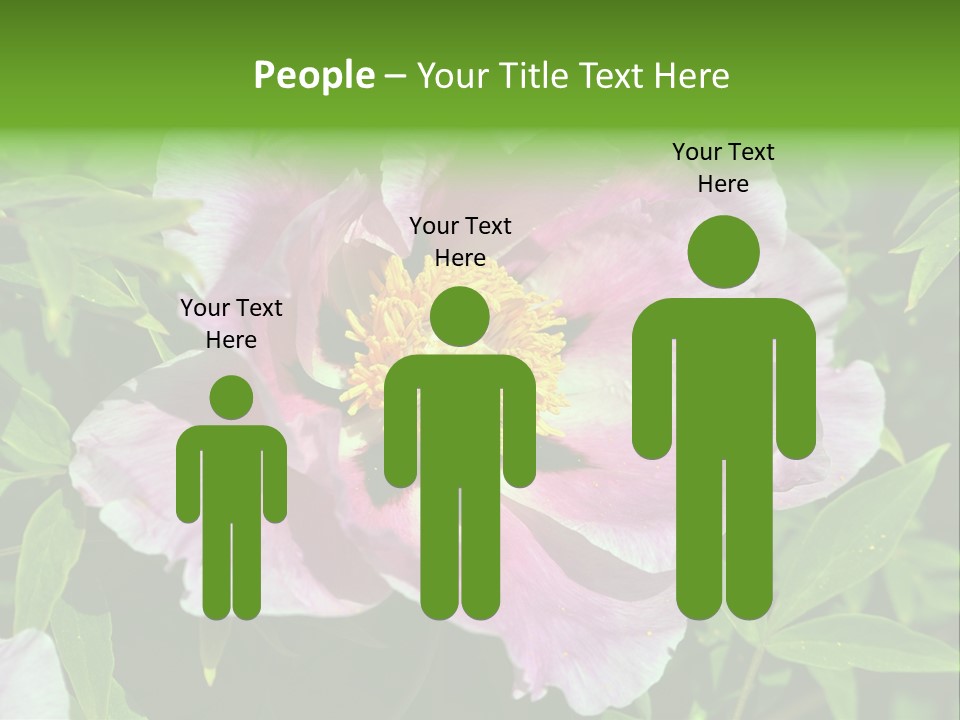 Colorful Blooming Pink PowerPoint Template