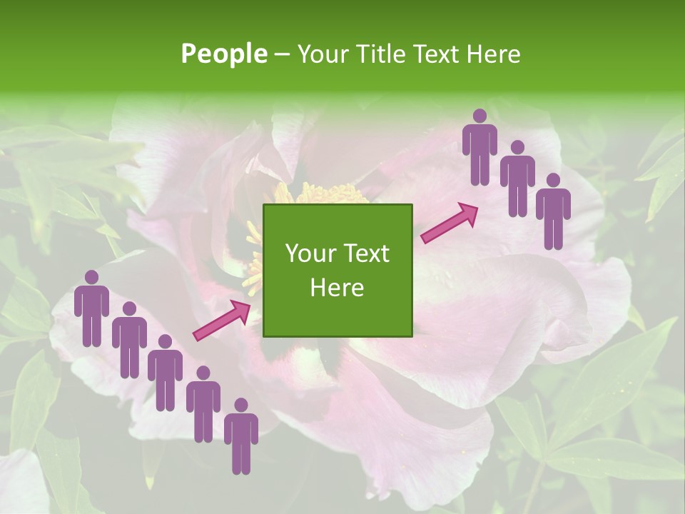 Colorful Blooming Pink PowerPoint Template