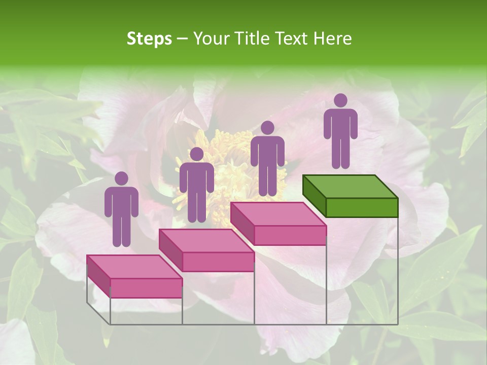 Colorful Blooming Pink PowerPoint Template