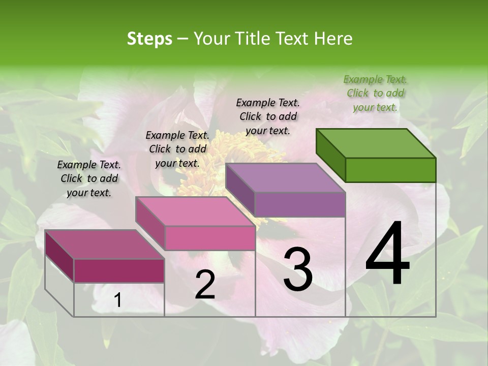Colorful Blooming Pink PowerPoint Template
