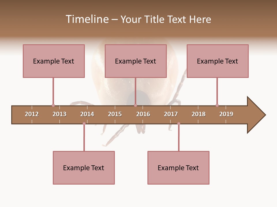 Background Big Parasite PowerPoint Template