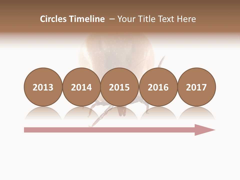 Background Big Parasite PowerPoint Template