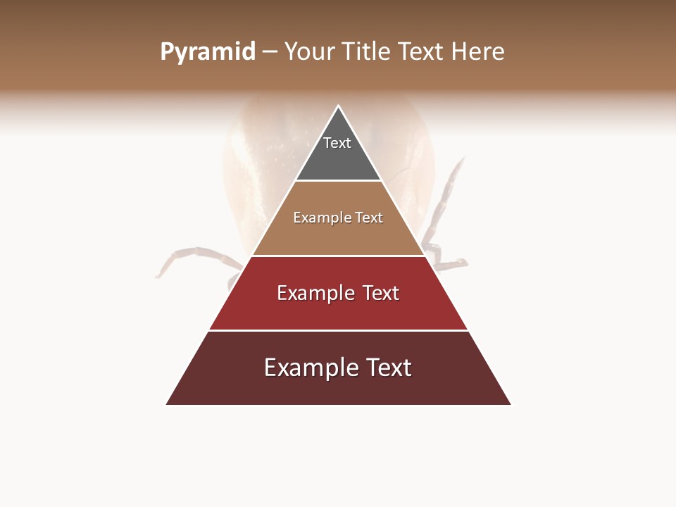 Background Big Parasite PowerPoint Template