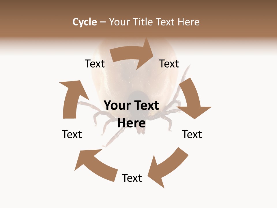 Background Big Parasite PowerPoint Template