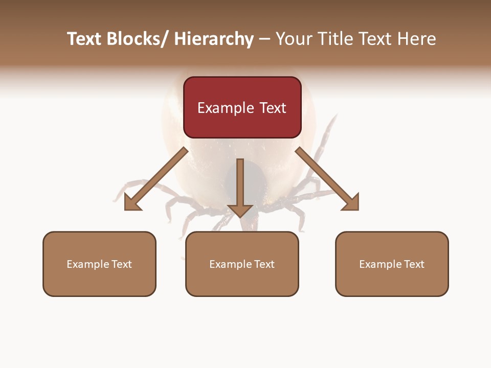 Background Big Parasite PowerPoint Template