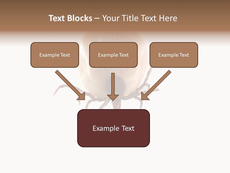 Background Big Parasite PowerPoint Template