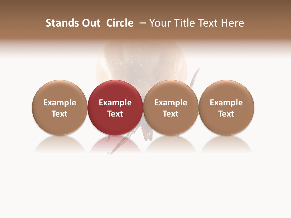 Background Big Parasite PowerPoint Template