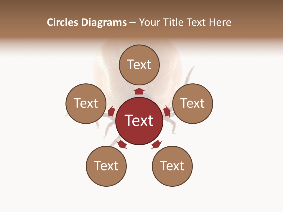 Background Big Parasite PowerPoint Template