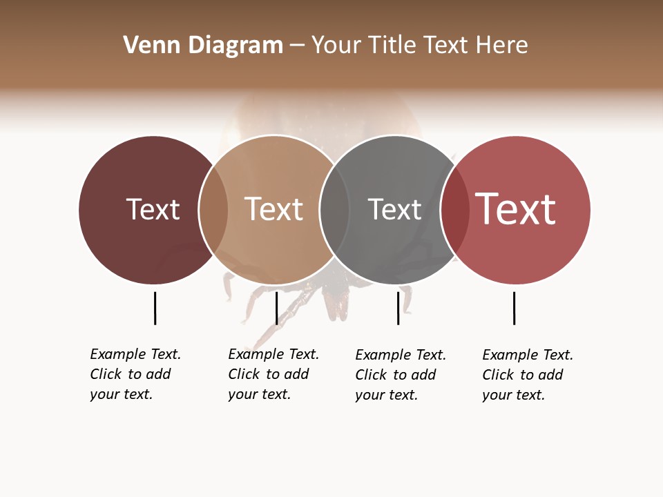 Background Big Parasite PowerPoint Template
