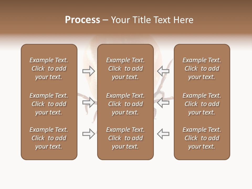 Background Big Parasite PowerPoint Template