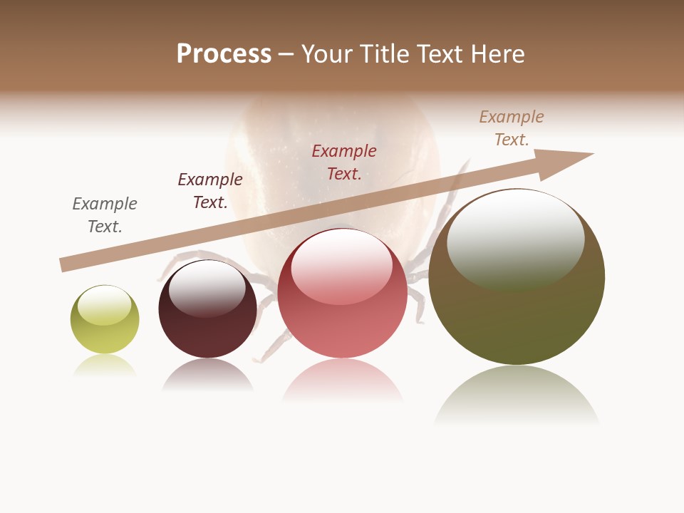 Background Big Parasite PowerPoint Template