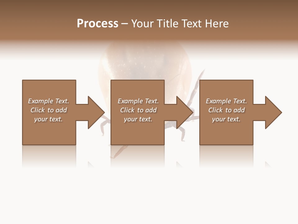 Background Big Parasite PowerPoint Template