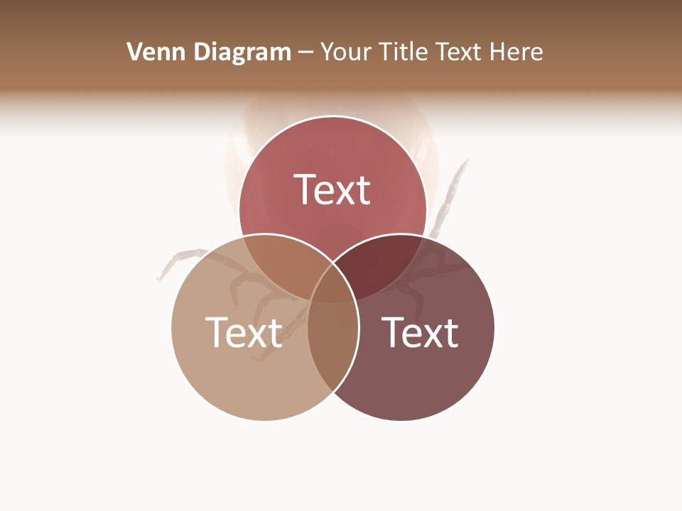 Background Big Parasite PowerPoint Template
