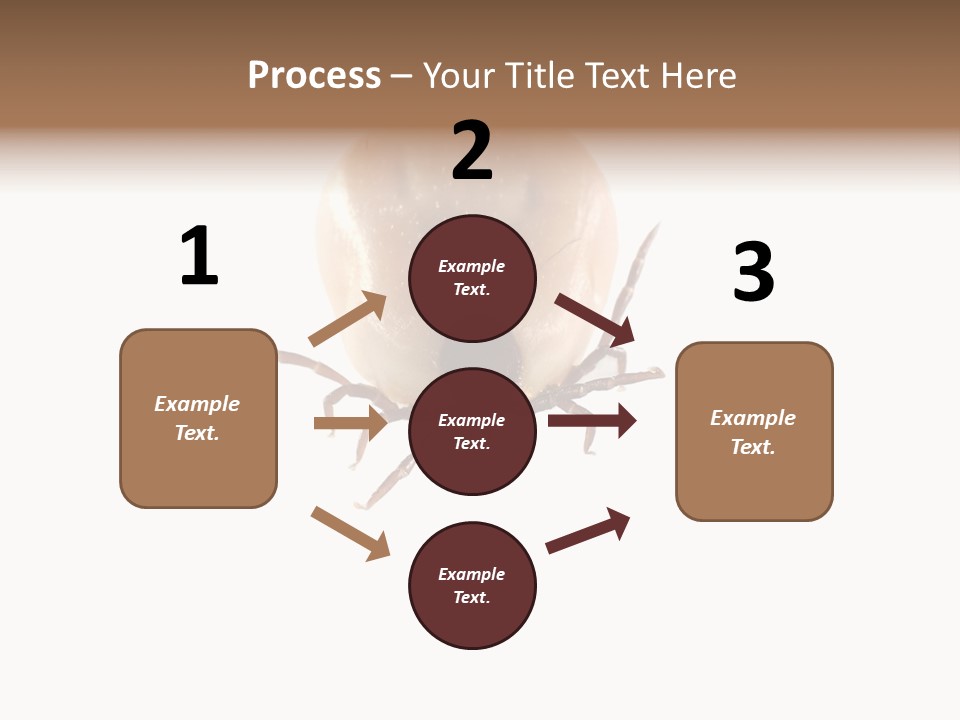 Background Big Parasite PowerPoint Template