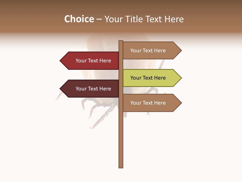 Background Big Parasite PowerPoint Template