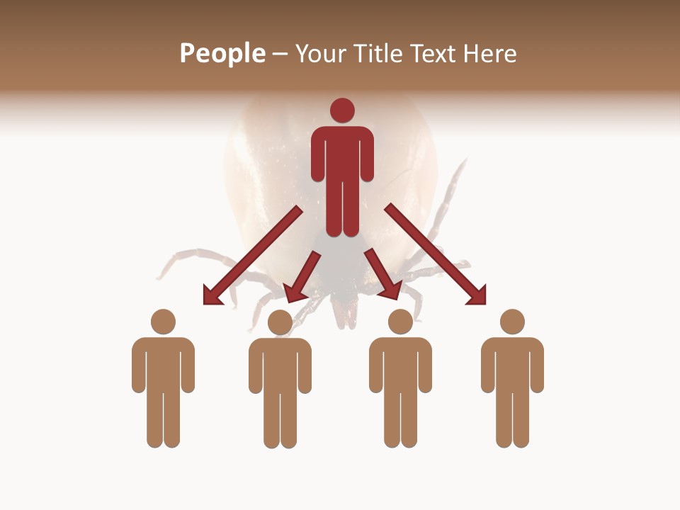Background Big Parasite PowerPoint Template