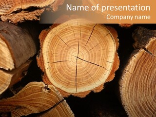 Saw Circle Cut PowerPoint Template