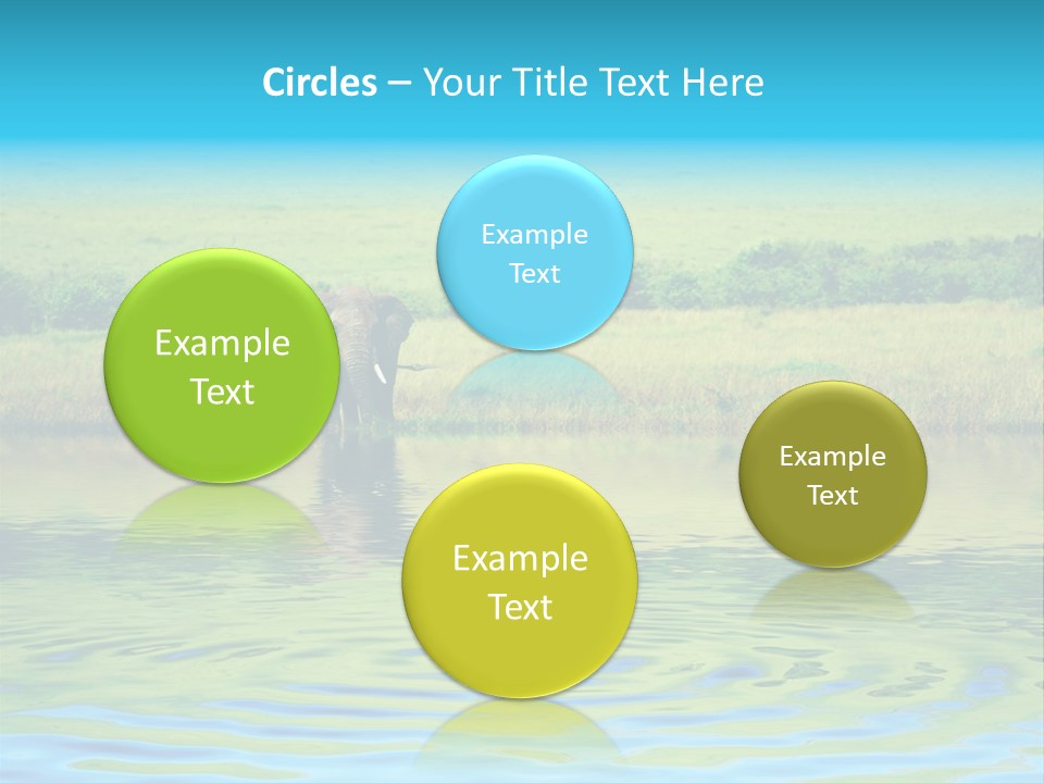 Zoology Creature Mara PowerPoint Template