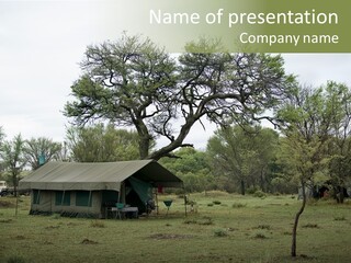 Trees Adventure Arid Climate PowerPoint Template