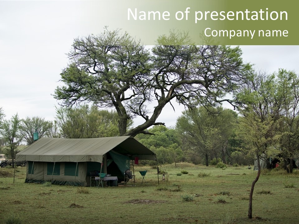 Trees Adventure Arid Climate PowerPoint Template