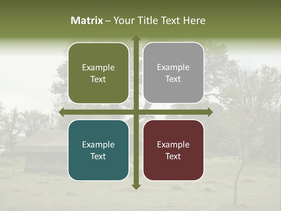 Trees Adventure Arid Climate PowerPoint Template