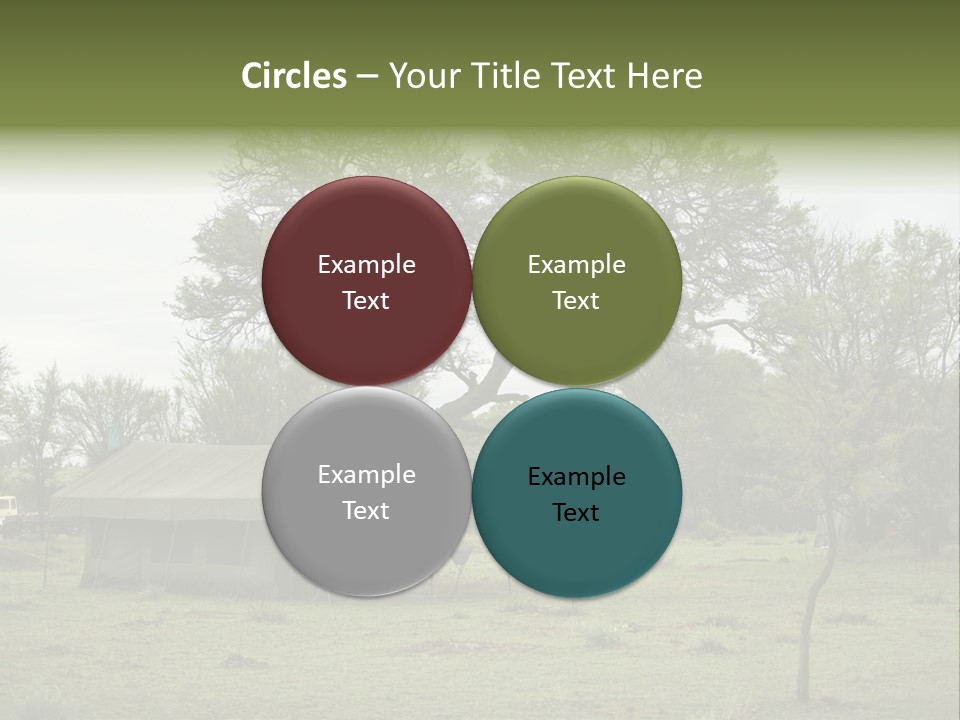 Trees Adventure Arid Climate PowerPoint Template