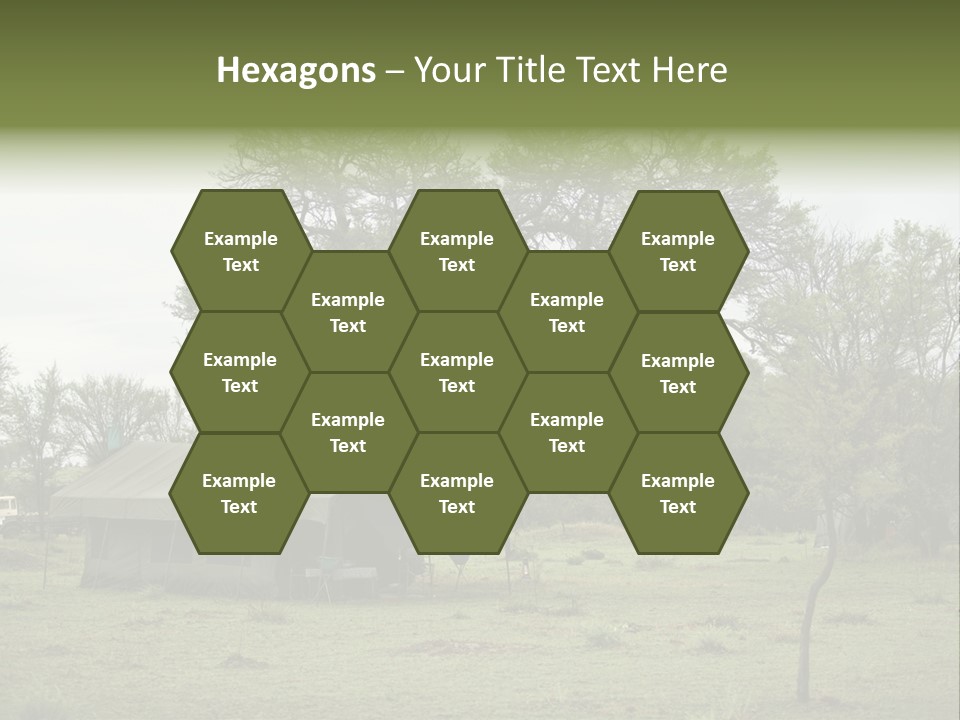 Trees Adventure Arid Climate PowerPoint Template