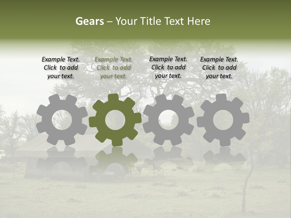 Trees Adventure Arid Climate PowerPoint Template