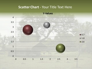 Trees Adventure Arid Climate PowerPoint Template