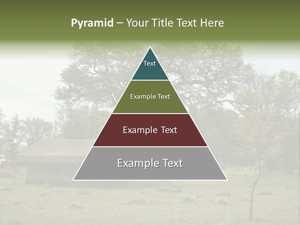 Trees Adventure Arid Climate PowerPoint Template