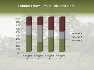 Trees Adventure Arid Climate PowerPoint Template