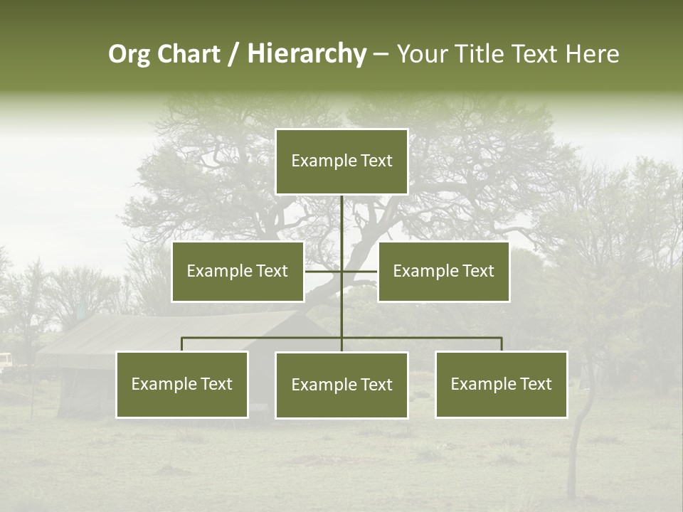 Trees Adventure Arid Climate PowerPoint Template