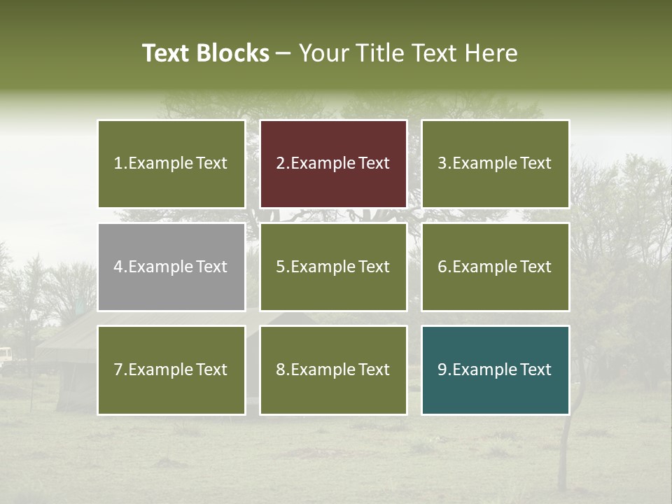 Trees Adventure Arid Climate PowerPoint Template