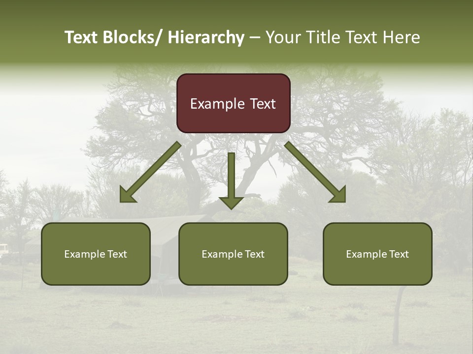 Trees Adventure Arid Climate PowerPoint Template