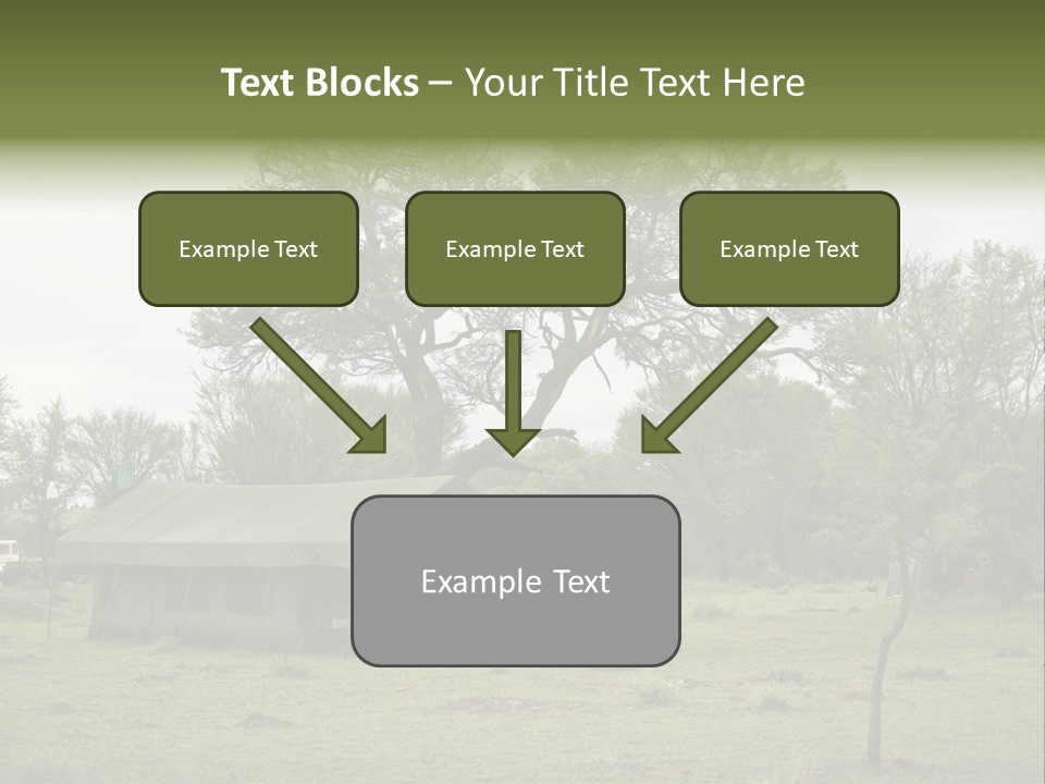 Trees Adventure Arid Climate PowerPoint Template