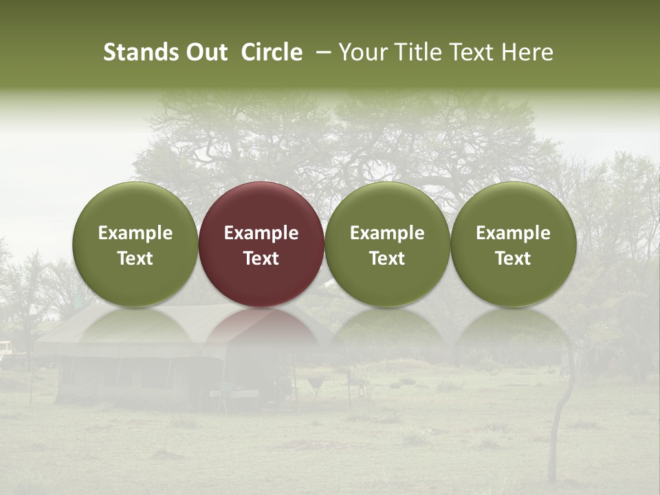 Trees Adventure Arid Climate PowerPoint Template
