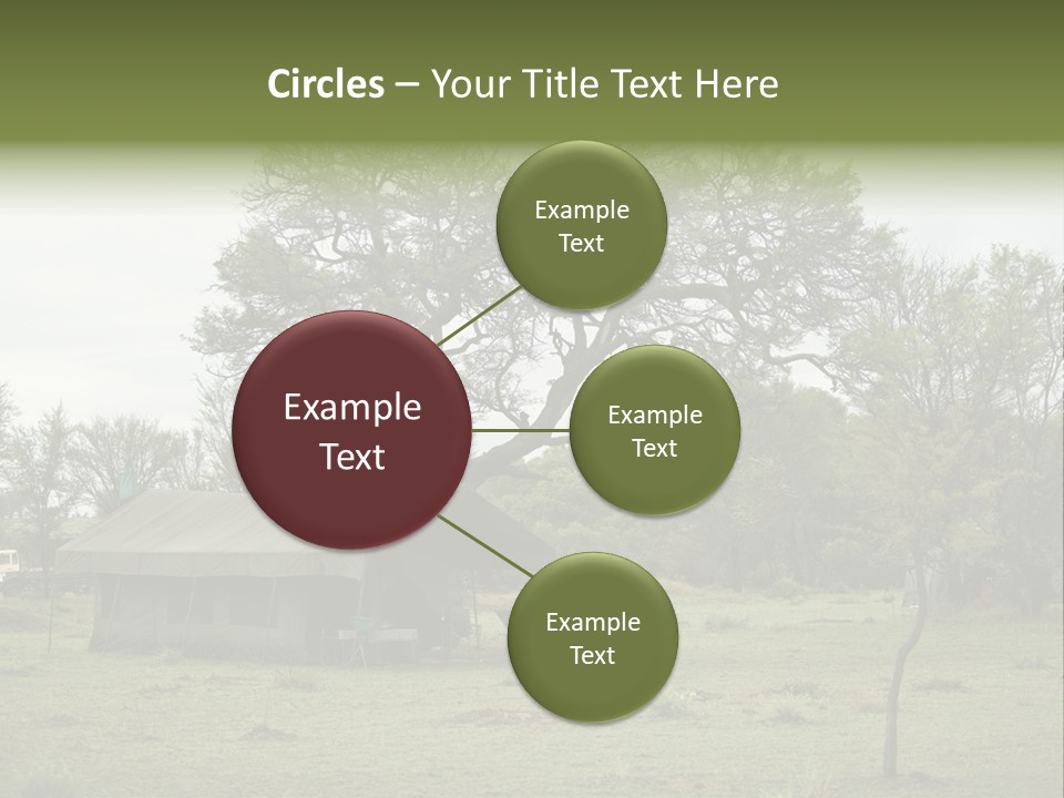 Trees Adventure Arid Climate PowerPoint Template