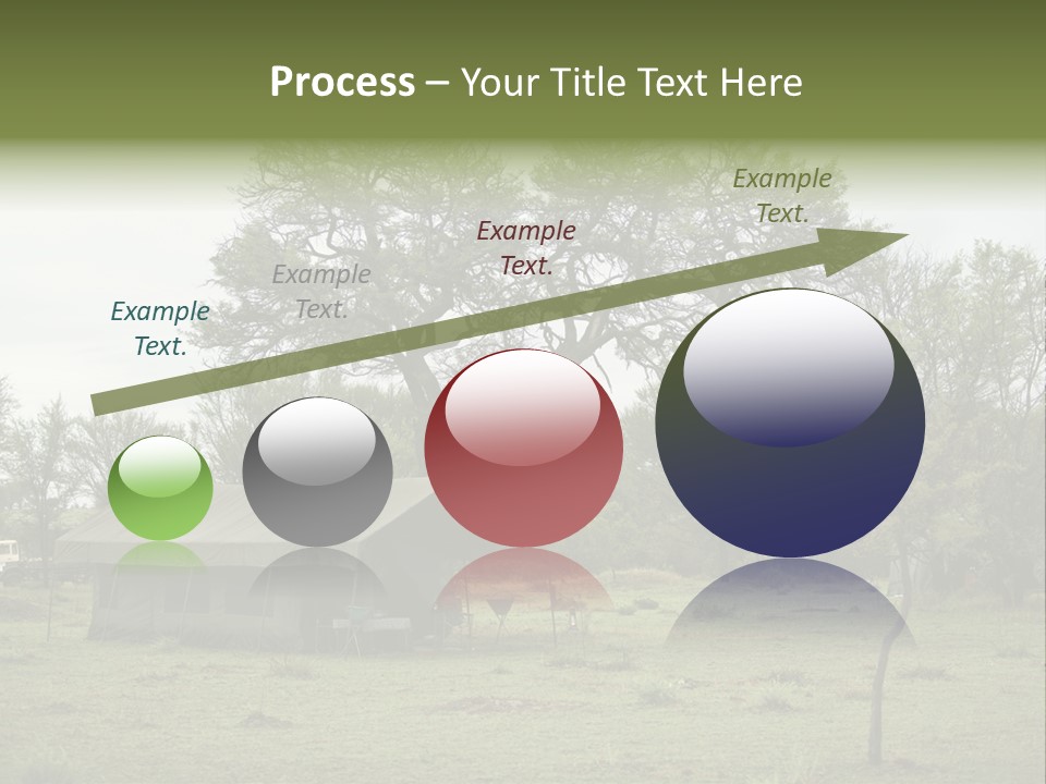 Trees Adventure Arid Climate PowerPoint Template